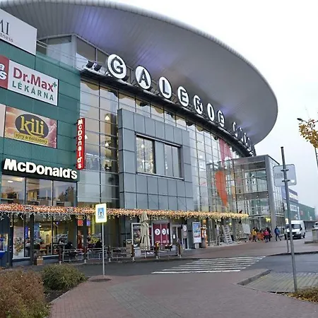 And Refreshing Flat In