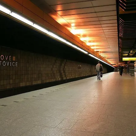 Apartment And Refreshing Flat In *